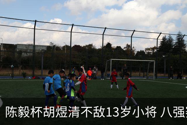 陈毅杯胡煜清不敌13岁小将 八强赛8月乐至进行